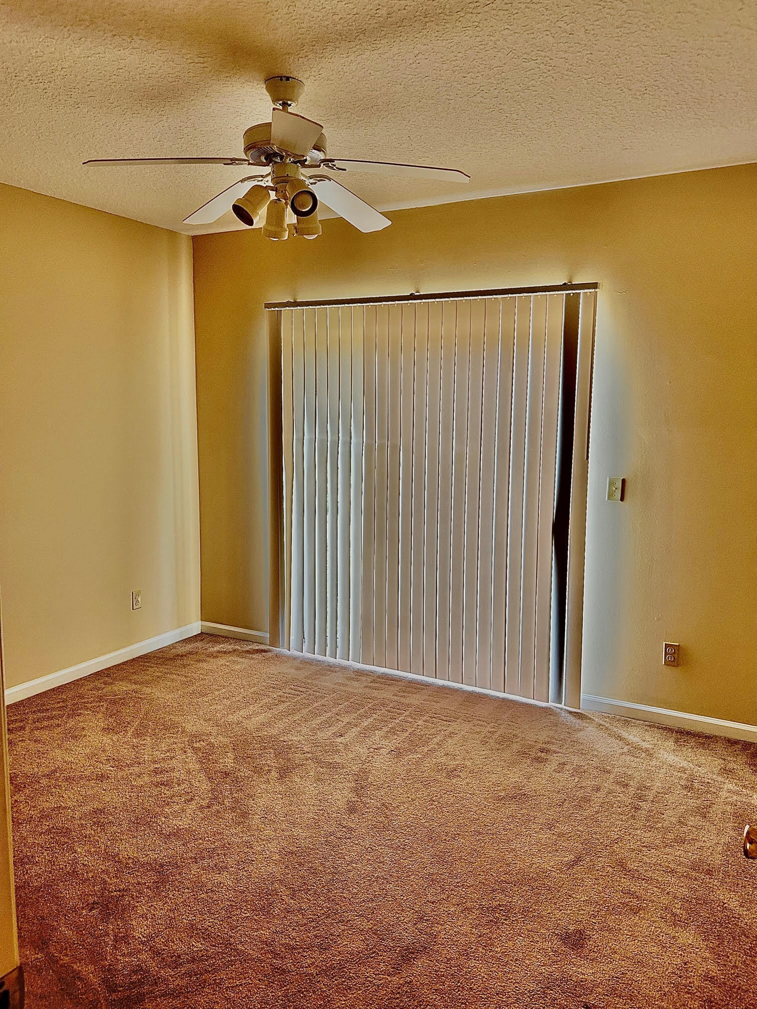Building Photo - 825 Anastasia Blvd