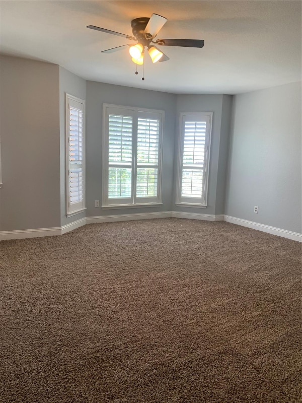 Building Photo - 10905 Braemoor Dr