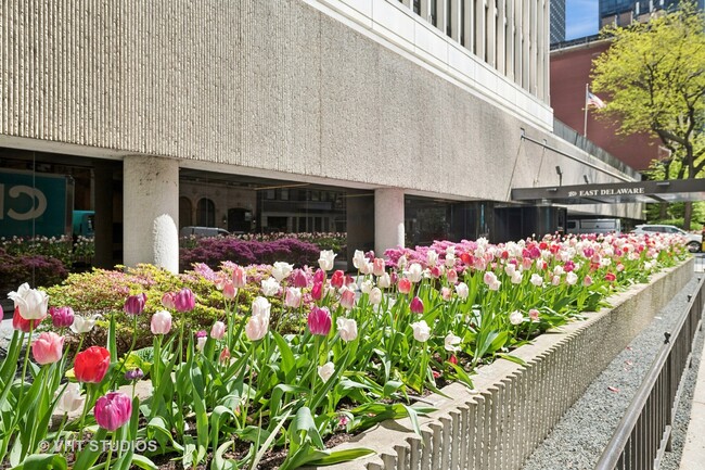 Building Photo - 200 E Delaware Pl