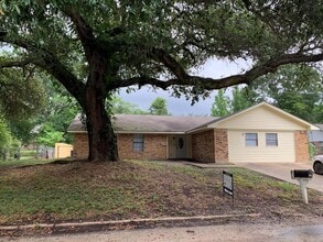 Building Photo - Texas Oak