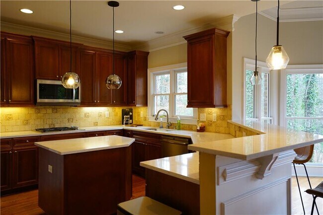 Building Photo - 3022 Canton Pines Pl