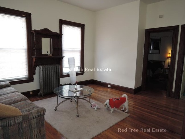 Primary Photo - 85 Surrey St