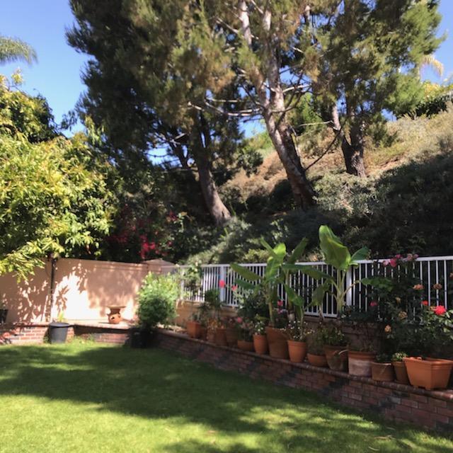 Building Photo - 1000 Calle Allegre