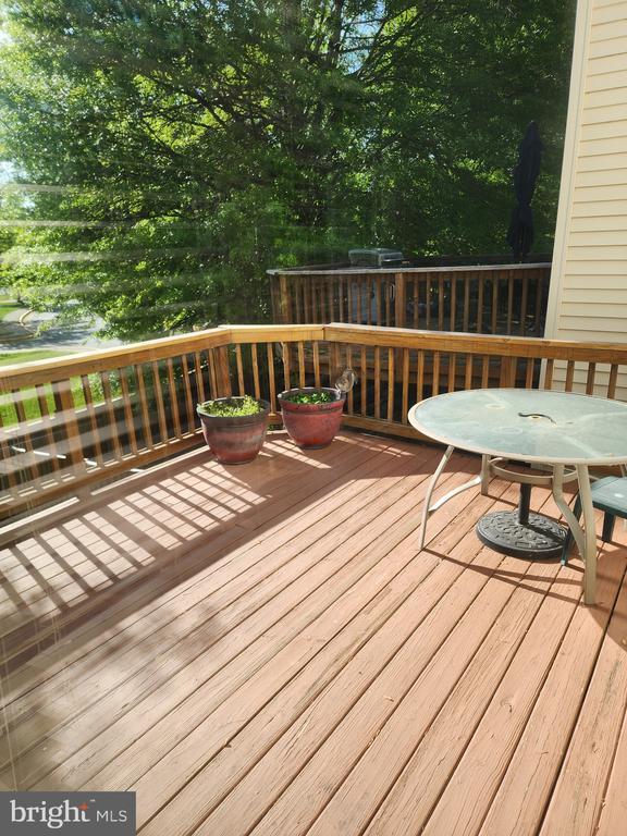 Building Photo - 119 Misty Pond Terrace