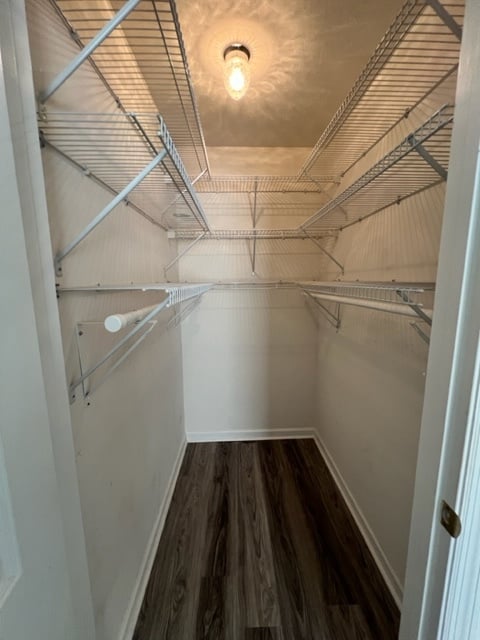 Building Photo - 938 Cameron Cir