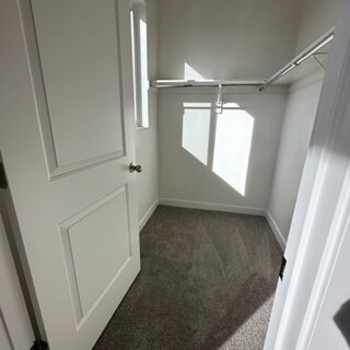 Building Photo - 238 Paramount Ave