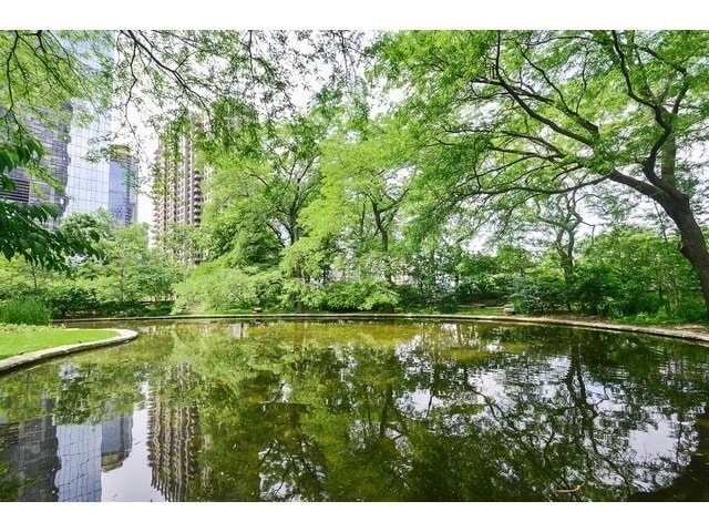 Building Photo - 505 N Lake Shore Dr