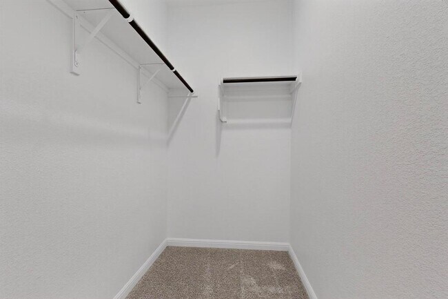 Building Photo - 1204 Purple Martin Dr