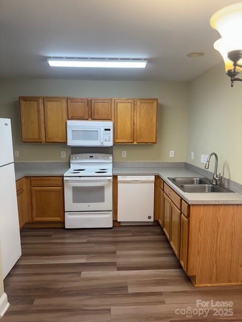 Building Photo - 2400 Terra Dr