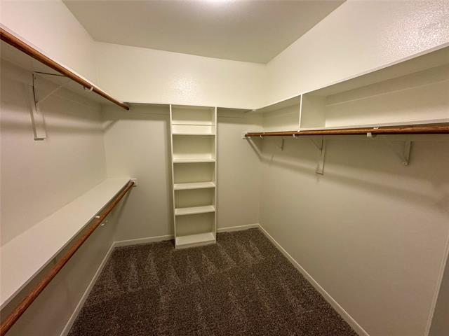Building Photo - 3511 Brookstone Dr