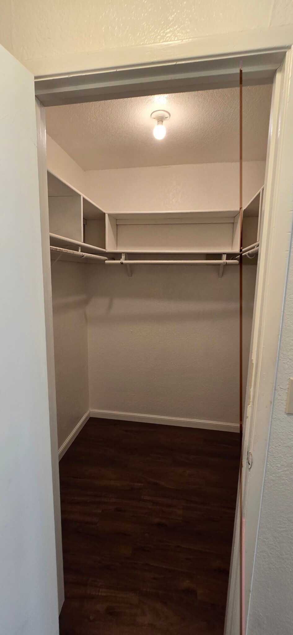 Primary Bedroom Walk-in Closet - 3318 Blue Ridge Cir