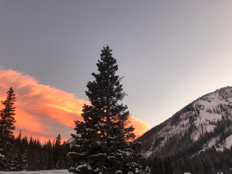 Building Photo - 5344 Montezuma Rd