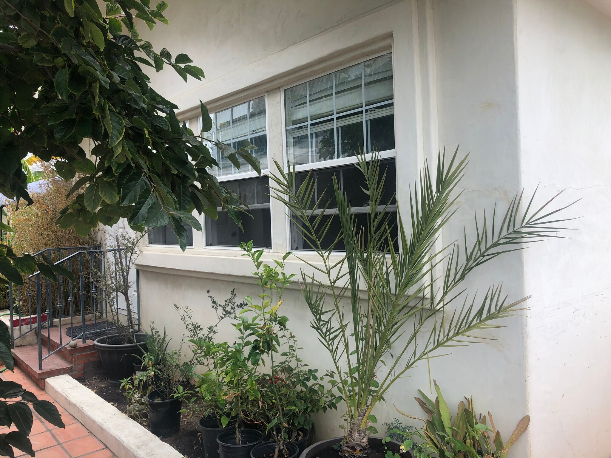 Bedroom windows - 12621 Victoria Ave