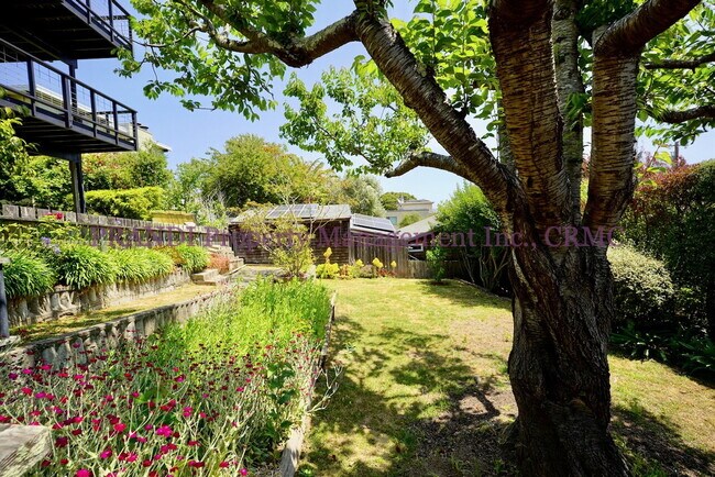Building Photo - Charming Sausalito Home with Private Backy...
