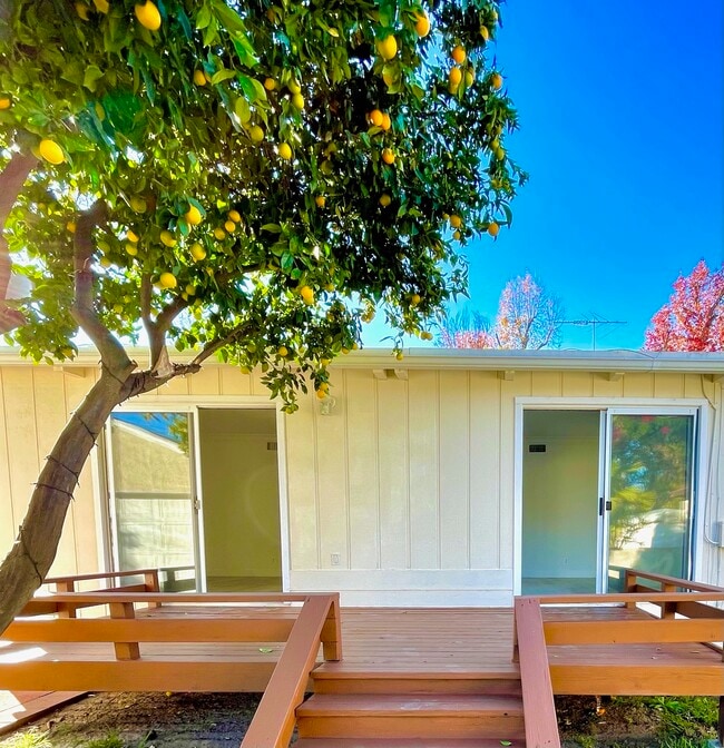 Deck - 5016 Enfield Ave