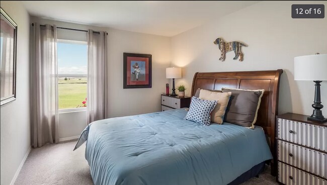 Building Photo - 12111 Overton Wy