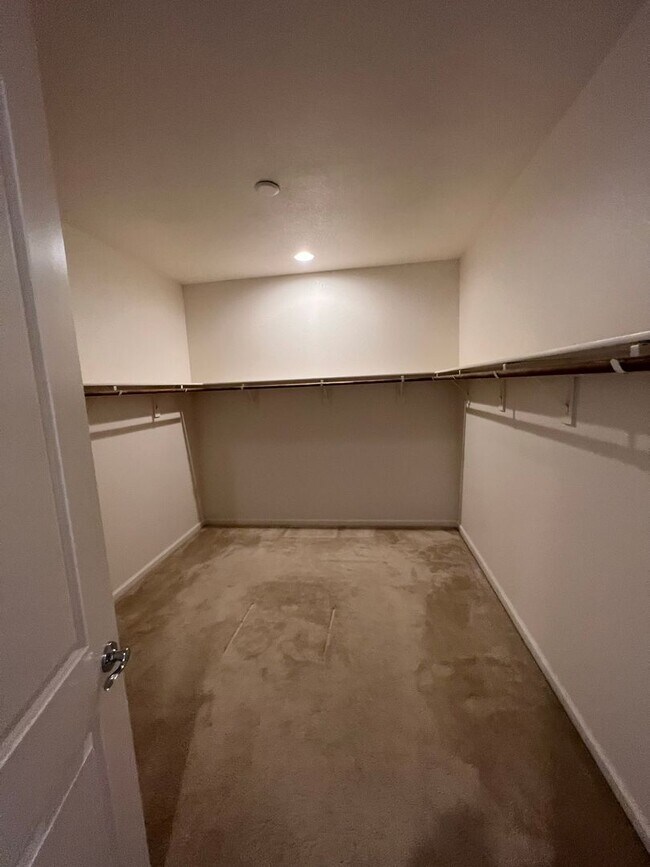 Building Photo - 3140 Show Jumper Ln