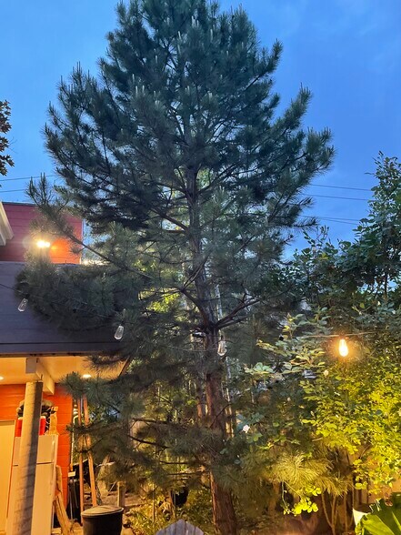 Building Photo - 440 W 900 S