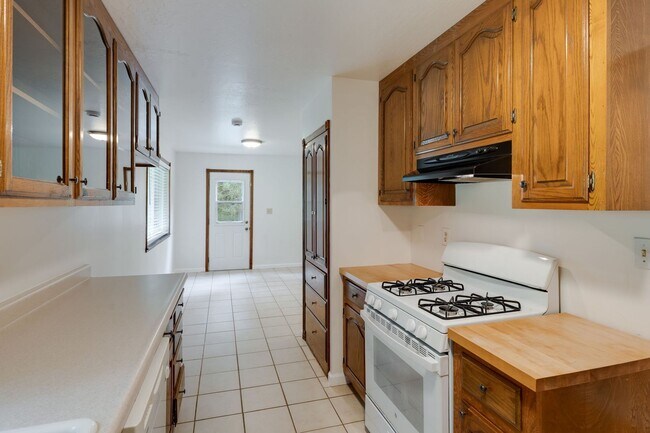 Building Photo - 1019 Mt Aukum Ct