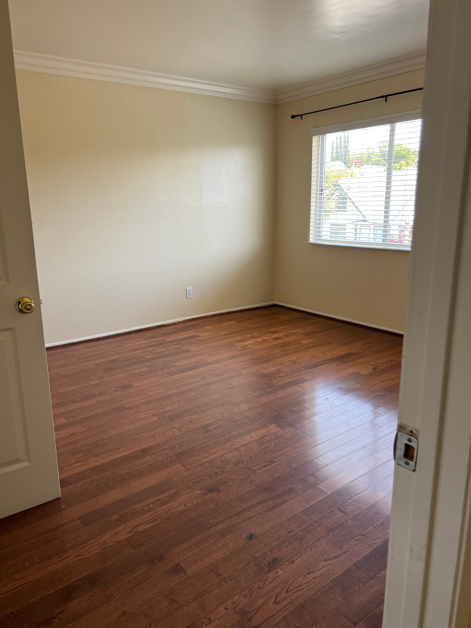 Building Photo - 1101 Laveta Terrace