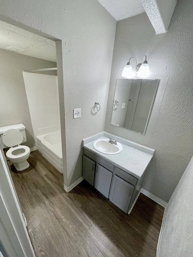 Renovated Bathroom with Vanity - Geneva Flats