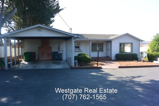 Building Photo - 3 Bed/2 Bath Single Level Country Home wit...