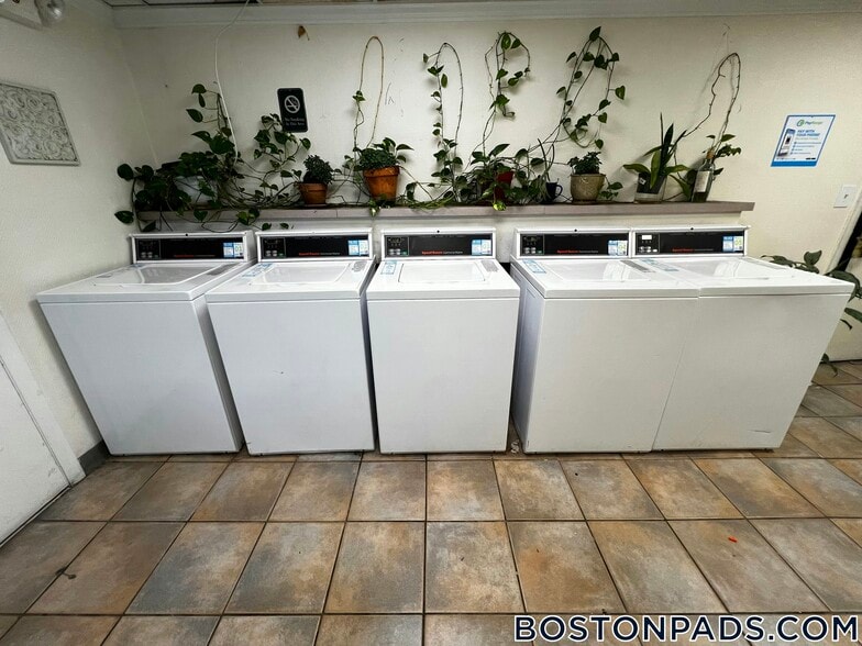 Building Photo - 439 Cambridge St