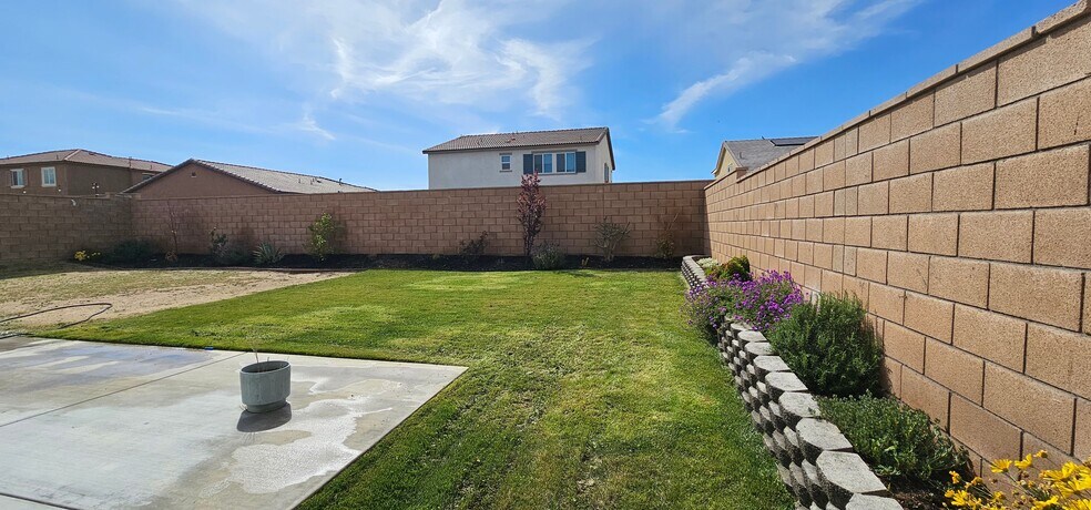 Backyard - 11386 Dunhaven Way