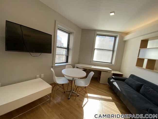 Building Photo - 115 Mt Auburn St