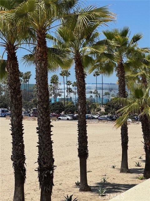 Building Photo - 1000 E Ocean Blvd