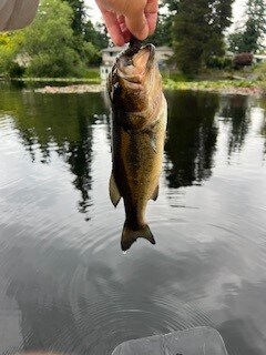 Building Photo - 432 72nd St SE