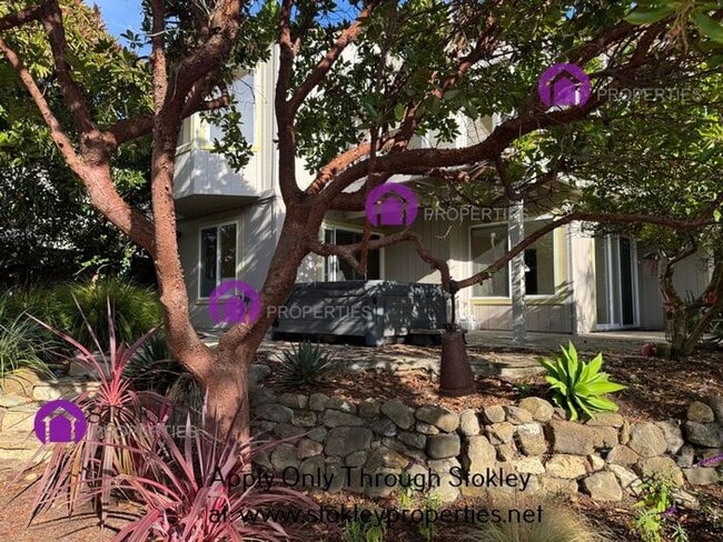 Building Photo - 155 Farallon Ct