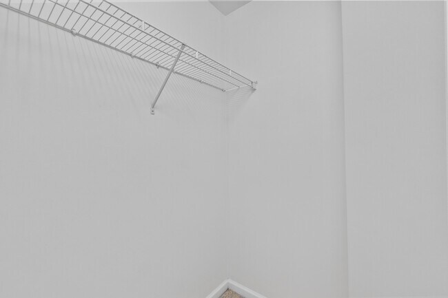 Building Photo - 8321 Glenwood Springs Ct