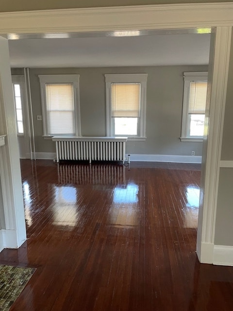 Living Room - 381 Ward St
