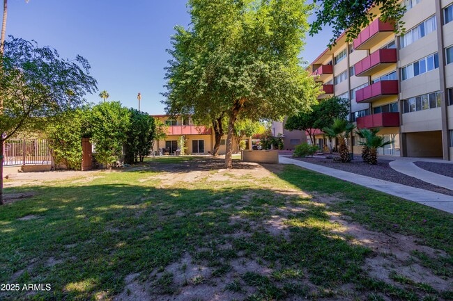 Building Photo - 353 E Thomas Rd