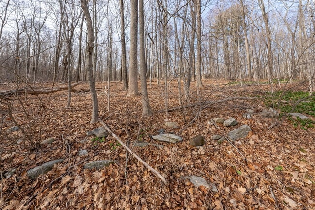 Building Photo - 10 Woodland Ter 1