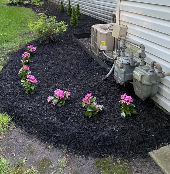 Building Photo - 703 Quail Rd