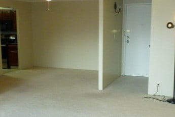 Living Room - 415 S Howes St