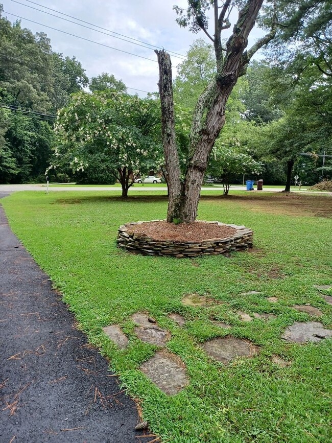 Building Photo - Beautiful home on large lot in Western Branch