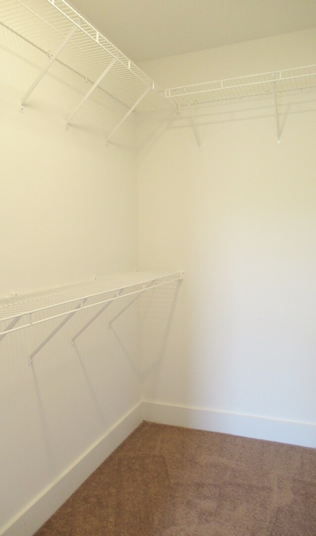 Building Photo - Beautiful Home for Rent in McCalla... Available to View with 48 Hour Notice!! Call today!!