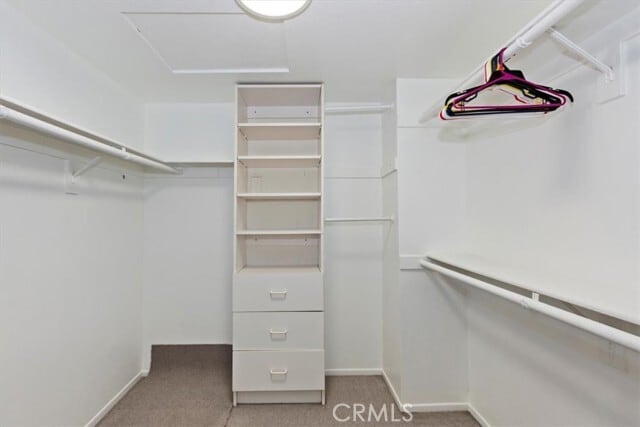 Building Photo - 2446 Cll Bienvenida