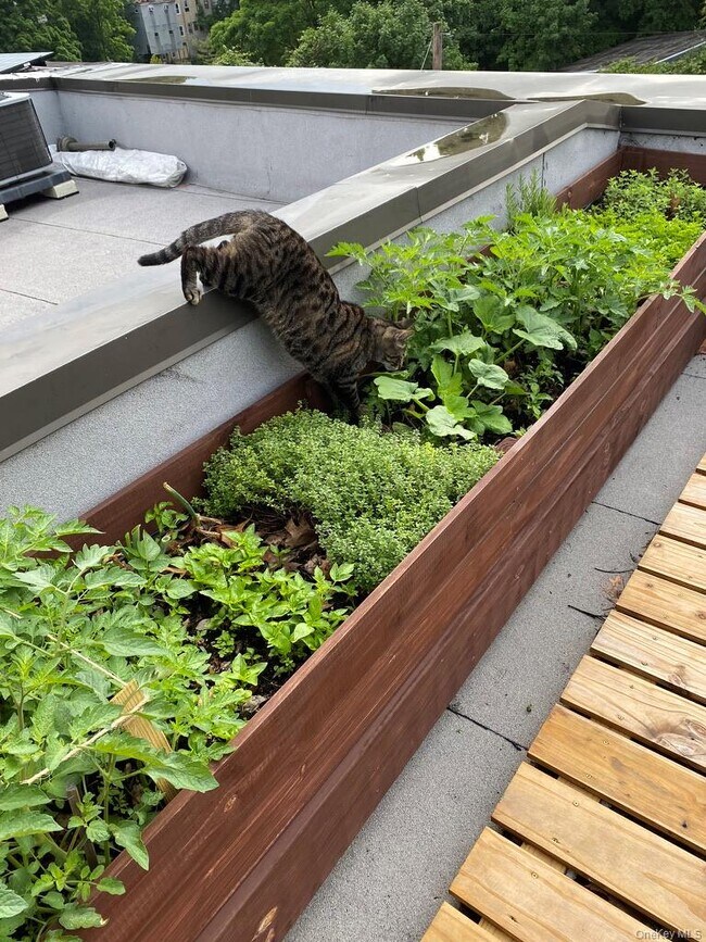 Building Photo - 493 Warburton Ave