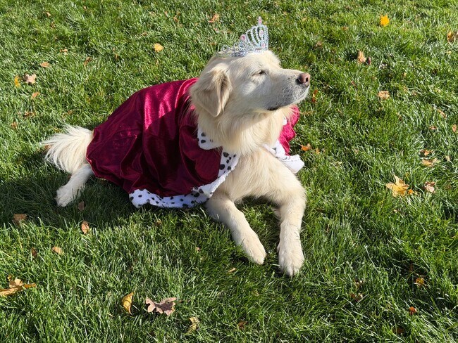 Building Photo - We treat you like royalty! Rents always include high speed internet, cable, water, sewer, trash &...