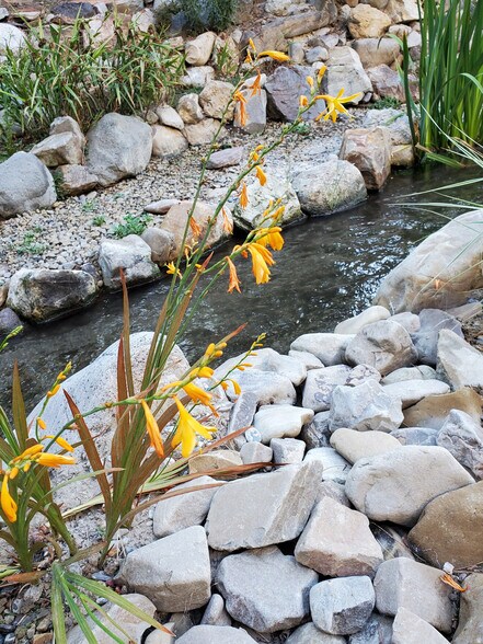 Quiet Upscale Neighborhood - 9287 S Avignon Pl