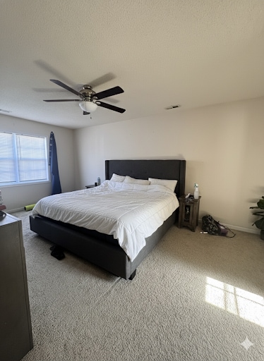 Building Photo - 101 Spain Dr