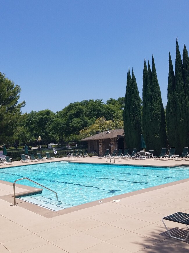 Building Photo - RECENTLY REDUCED!!! Beautiful Home in the Heart of it all. MUST SEE!