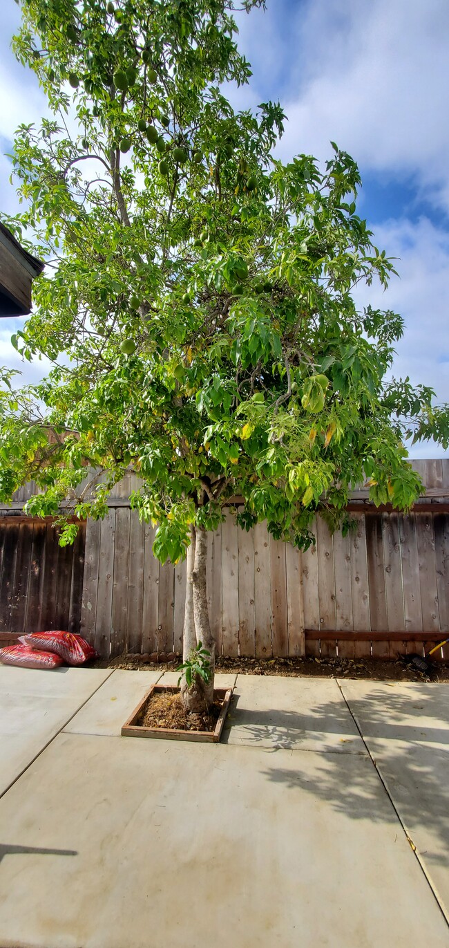 Building Photo - 2886 Cagayan Ave