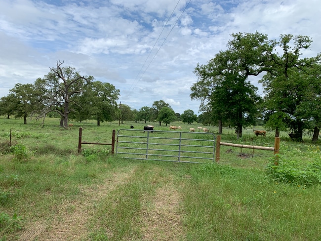 Building Photo - 4296 TX-304