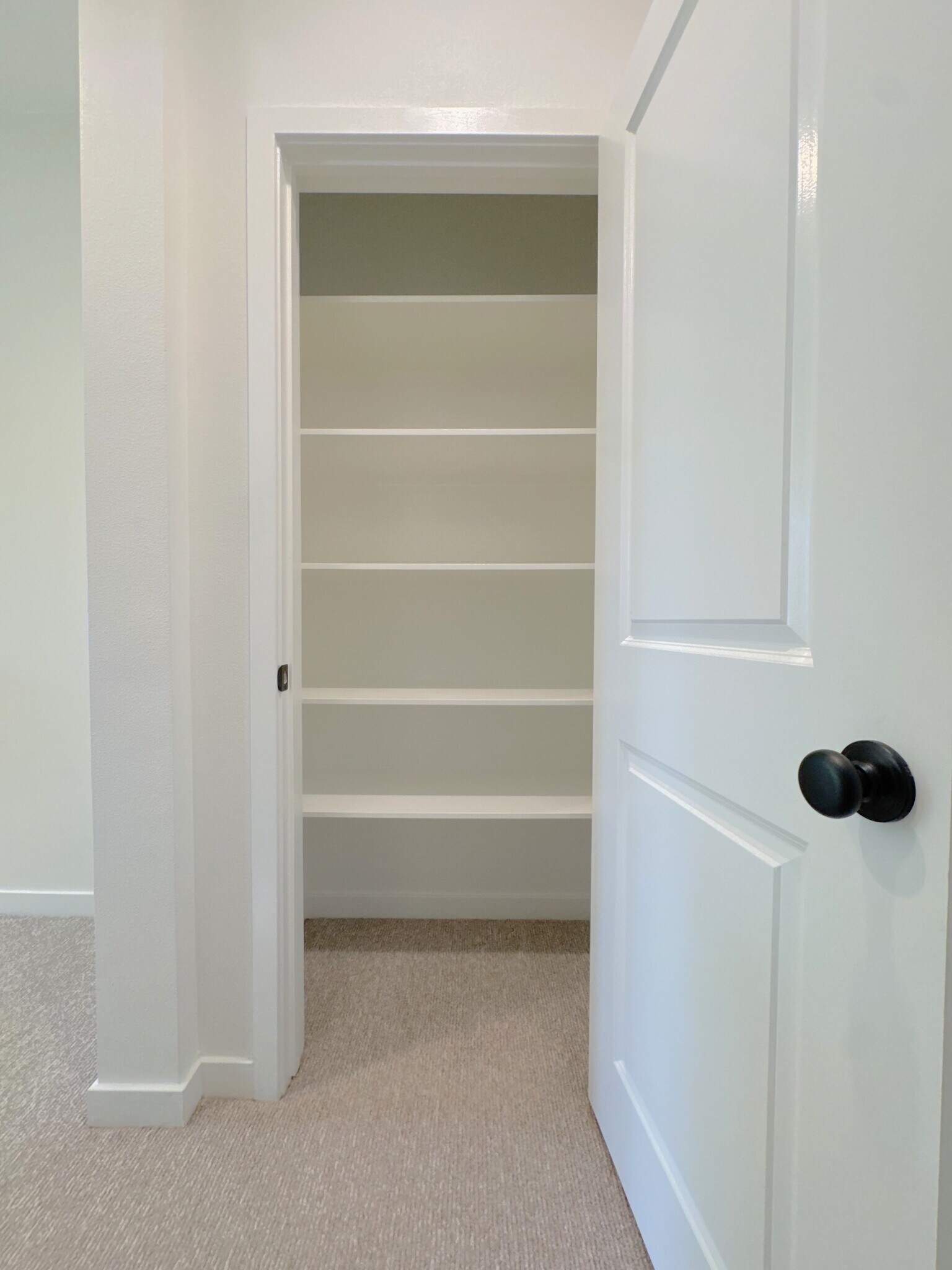 Storage closet/level 3 - 2729 Sunrise Way