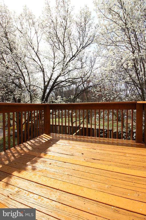 Building Photo - 6705 Ammendale Way